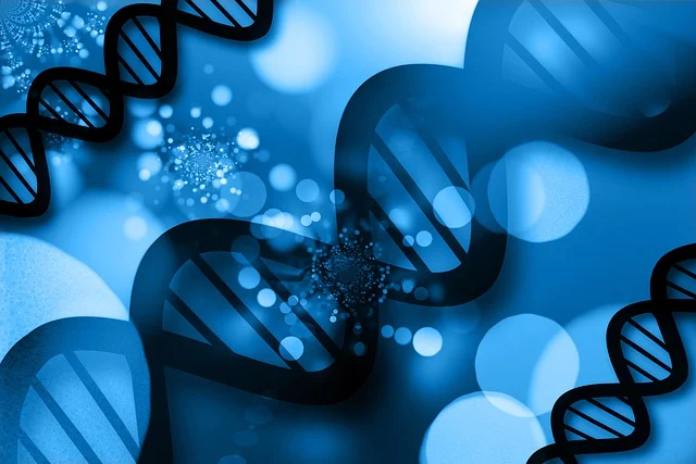 硬質(zhì)泡沫低氣味反應(yīng)型催化劑，滿足建筑、家電行業(yè)對(duì)環(huán)保的嚴(yán)格要求